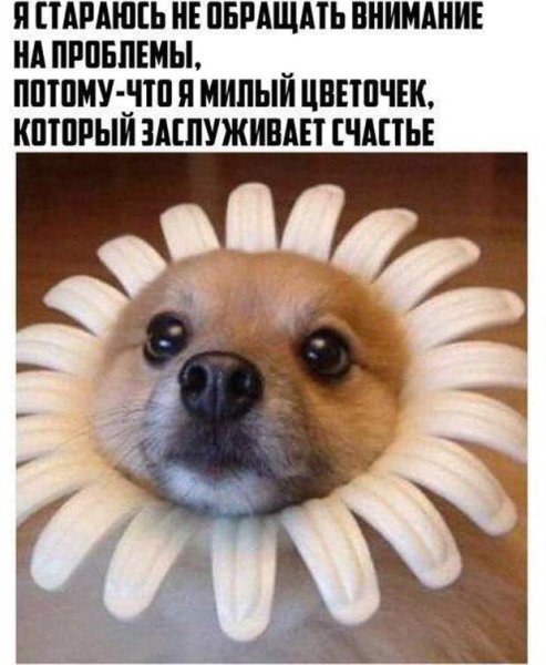 Заряжаю всех хорошим настроением