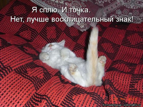 Открытки прикольные для поднятия настроения