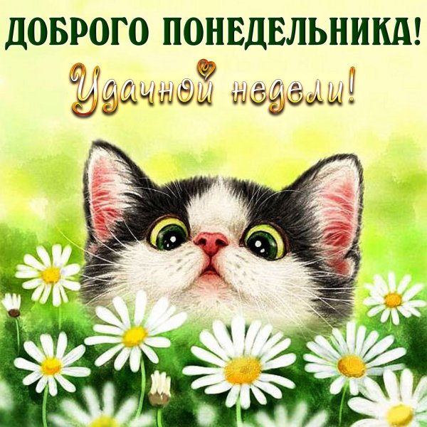 Доброго понедельника