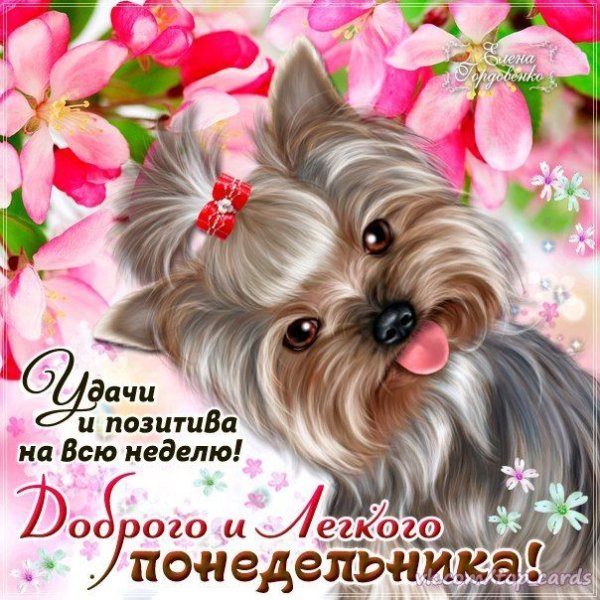 Лёгкого понедельника и хорошего настроения