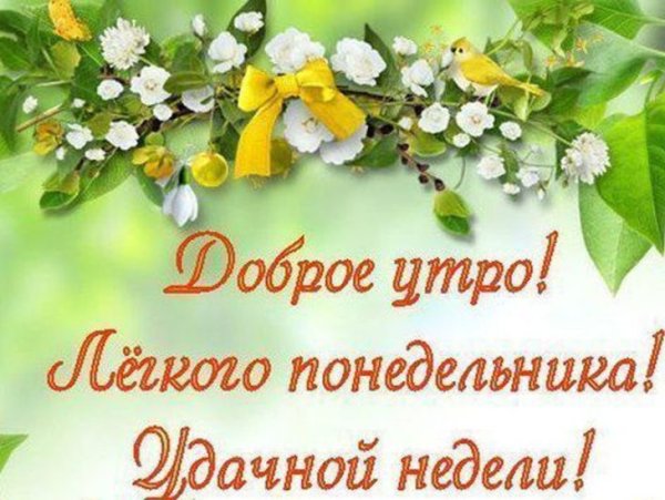 Удачного начала недели