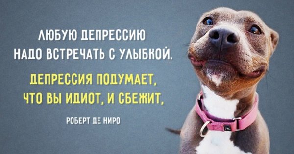 Прикольные фразы про улыбку