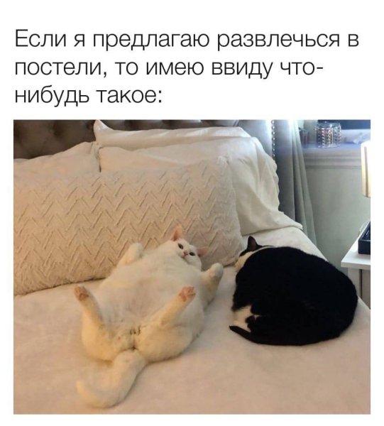 Прикольные картинки для поднятия настроения