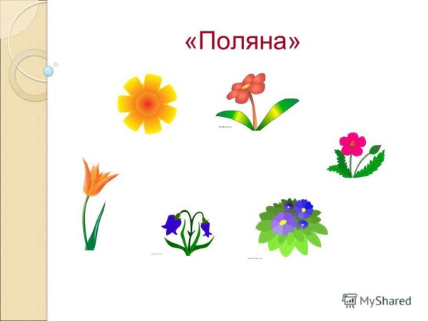 Рефлексия Цветочная Поляна