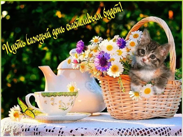 Летнее настроение