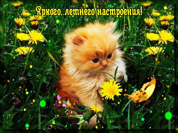Открытки с новым днем
