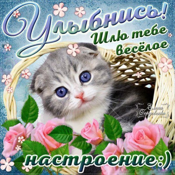 Открытки улыбнись