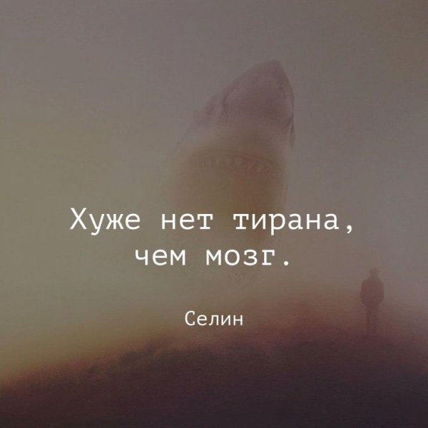 Цитаты со смыслом про мозг