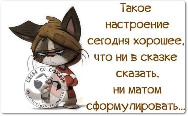 Настроение цитаты прикольные
