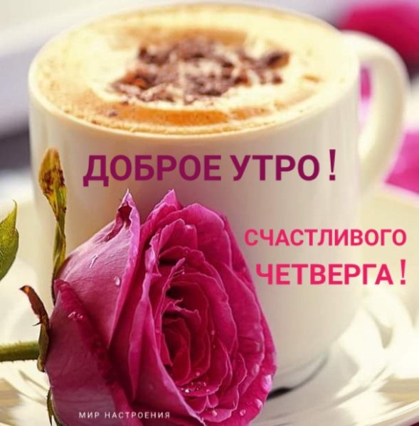 С добрым утром четверга