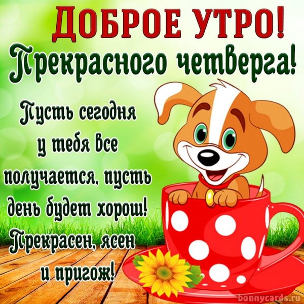 Поздравление с четвергом и добрым утром