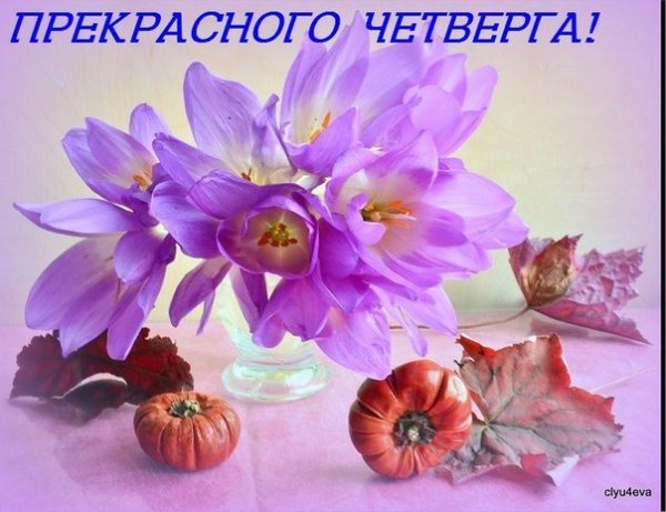Четверг прекрасный день