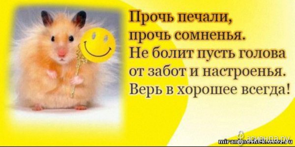 Стихи про хорошее настроение