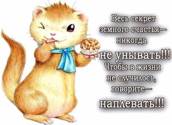 Пожелания не унывать