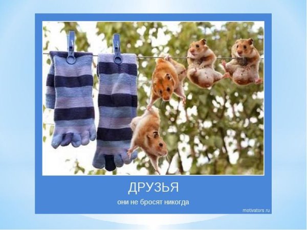 Мотиваторы позитивные смешные