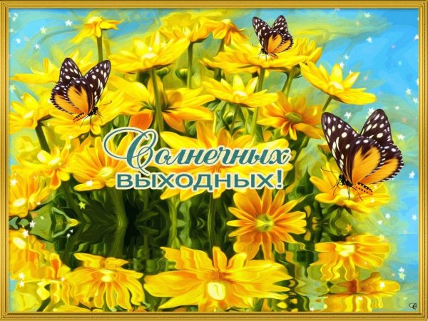 Солнечных выходных и отличного настроения