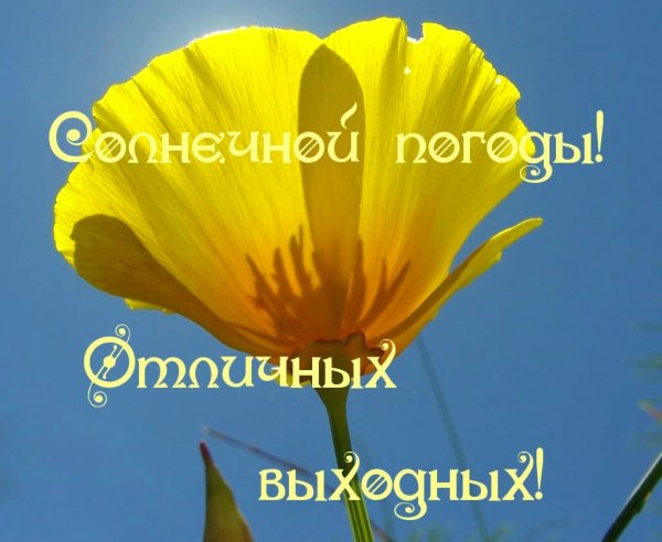 Отличных солнечных выходных