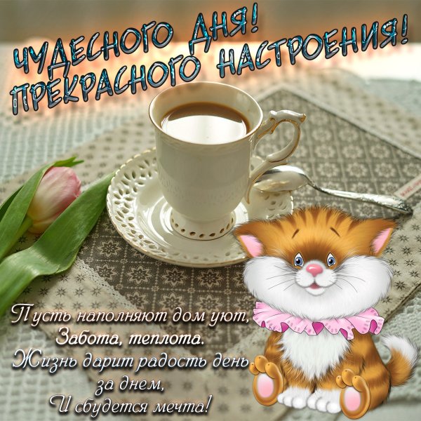 Доброго дня и хорошего настроения мужчине