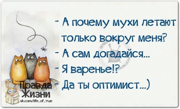 Фразы оптимиста