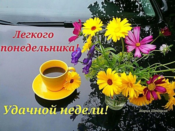 Удачной недели и хорошего настроения
