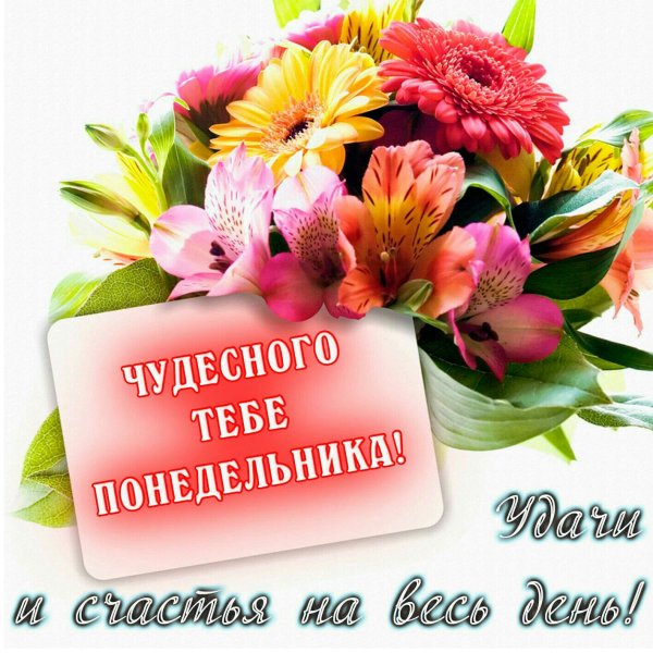Поздравление с понедельником