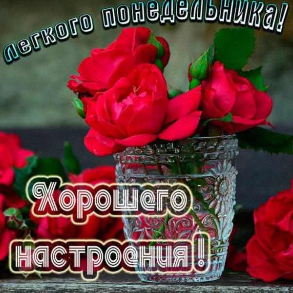 Красивое поздравление с понедельником