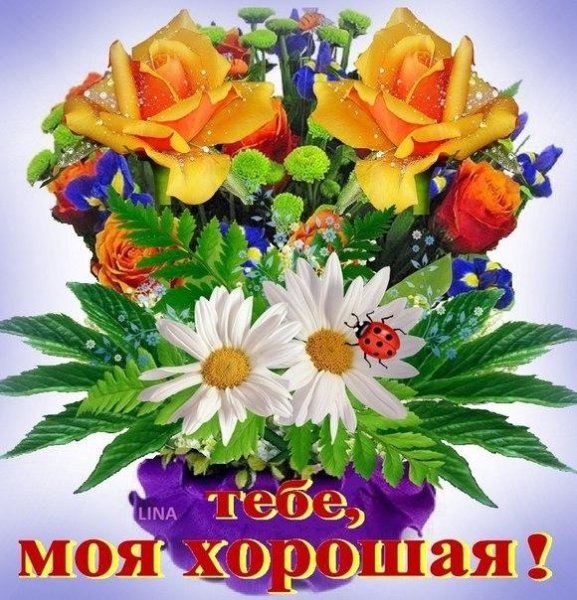 Открытка тебе моя хорошая