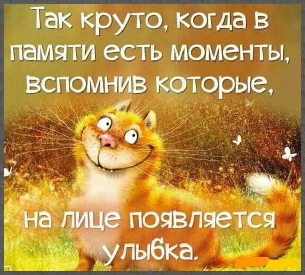 Позитивные высказывания