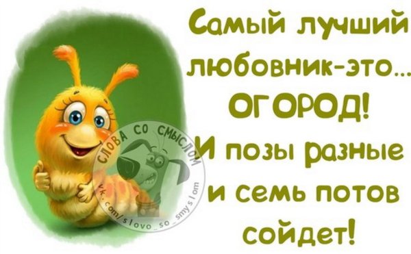 Весёлые открытки для поднятия настроения