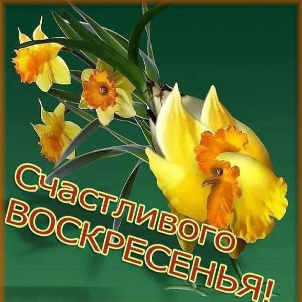 Отличного весеннего воскресенья