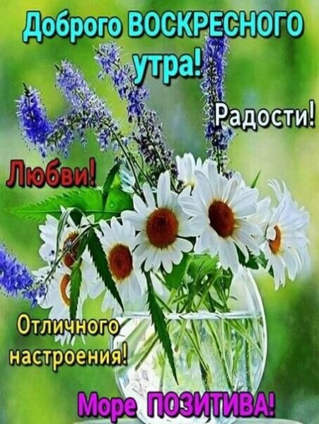 Доброе Майское утро воскресенья