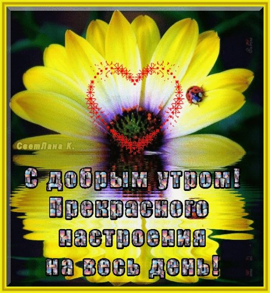 Доброе утро берегите СН бя