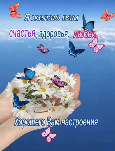 Пожелания хорошего дня и здоровья