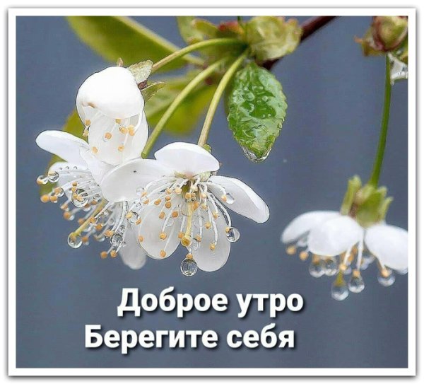 Доброе утро береги себя