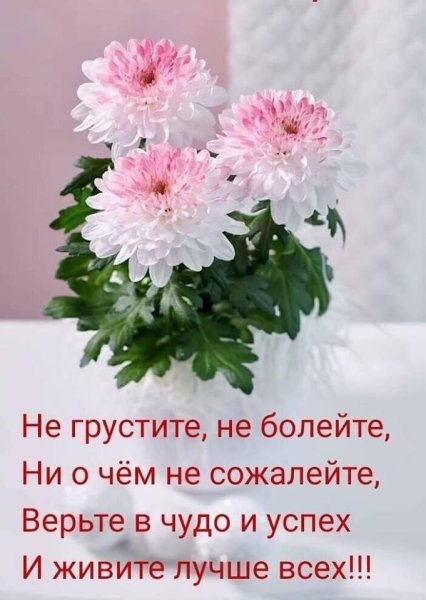 Позитивные пожелания на день