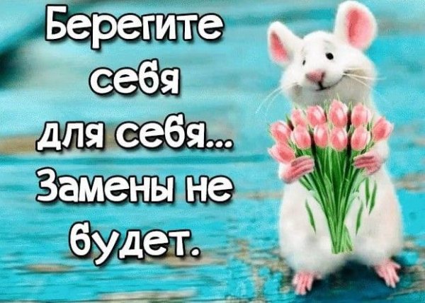 Открытки берегите себя