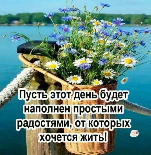 Счастья в новом дне