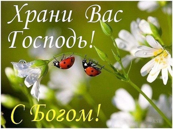 Пожелания с добрым утром и днем с Богом