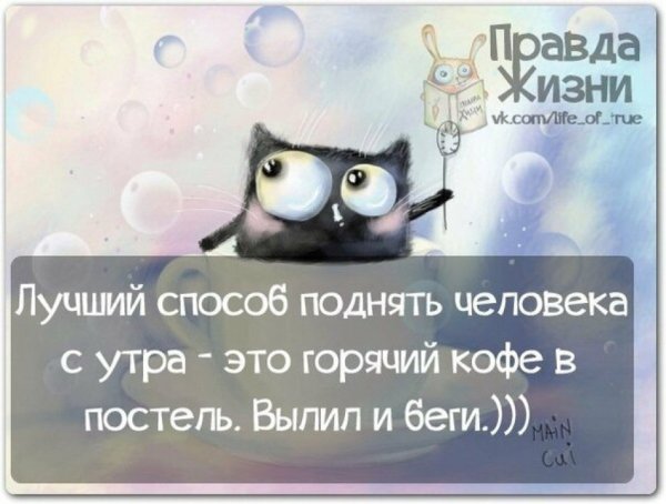 Позитивные высказывания