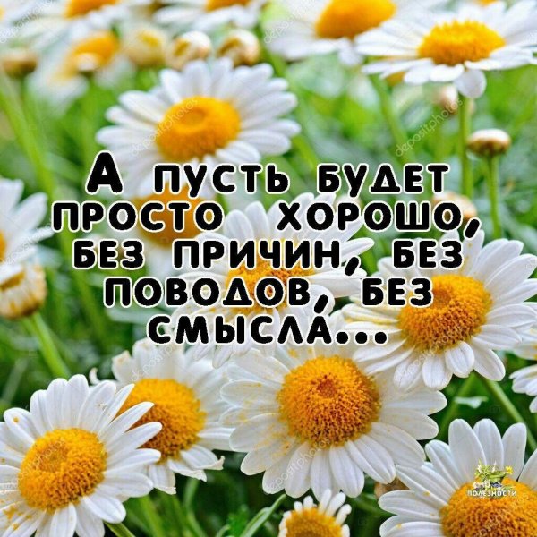 Добрые статусы в картинках