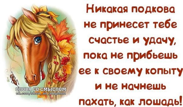 Настроение цитаты прикольные