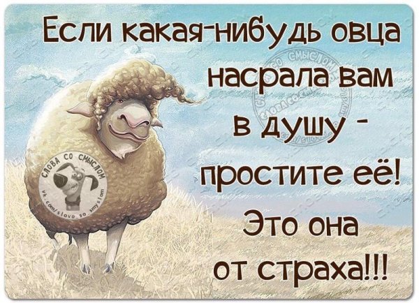 Утро высказывания позитивные