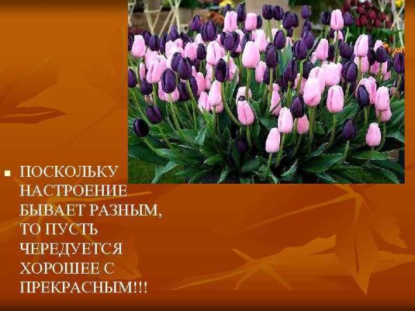 Пусть будет настроение хорошим