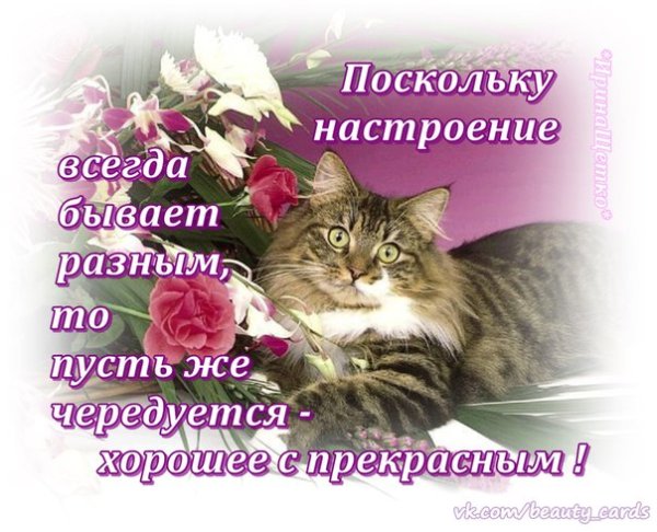 Поскольку настроение всегда бывает разным