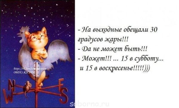 Пусть хорошего