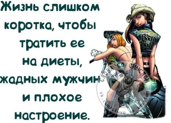 Жизнь слищком коротка чтобы тратить ее на диеты жалных мкдчин