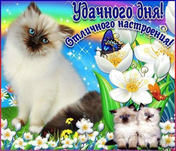 Открытки удачного дня