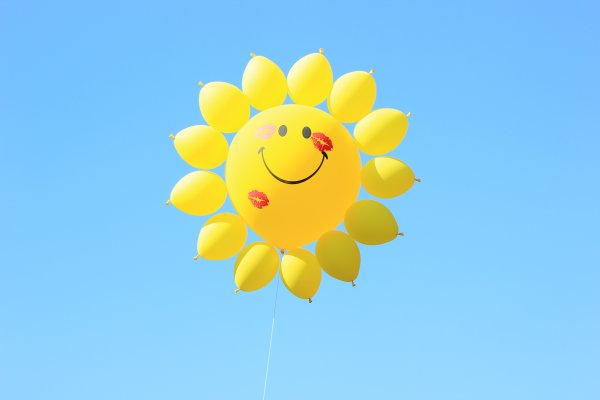 Позитивные собаки