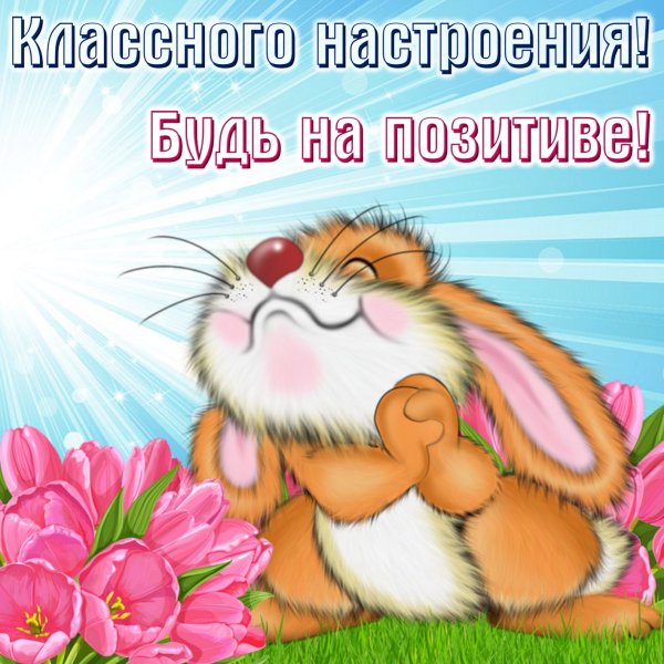 Открытки прекрасного настроения