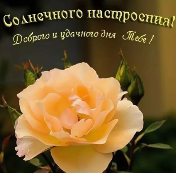 Отличного настроеньица